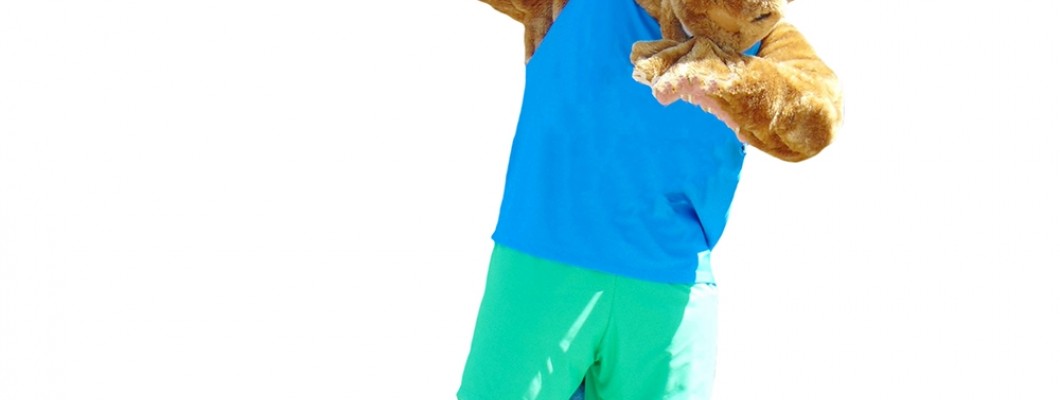 Cultural Sensitivity and Diversity in Character Mascot Costumes