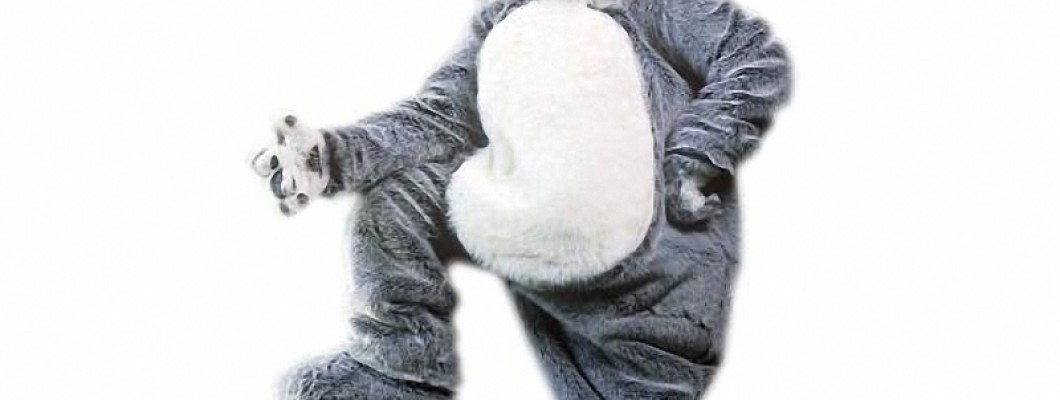 How to Care for Your Leopard Mascot Costume