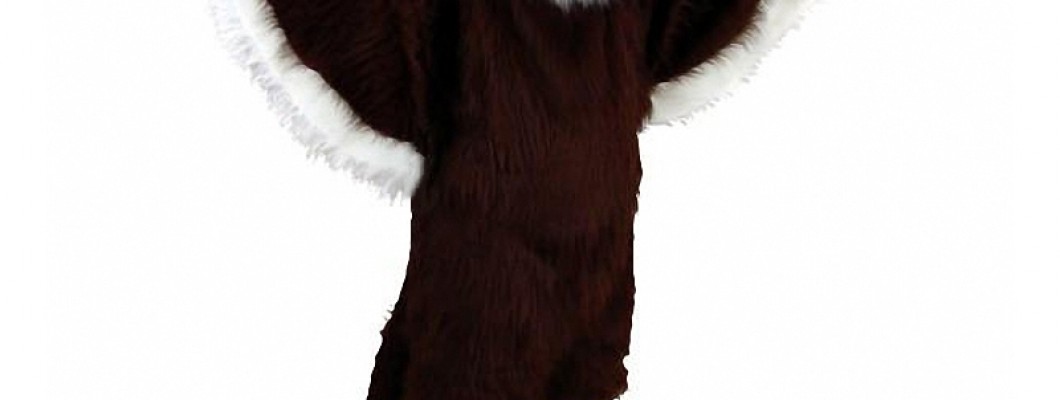 The Evolution of Eagle Mascot Costumes in Sports Marketing