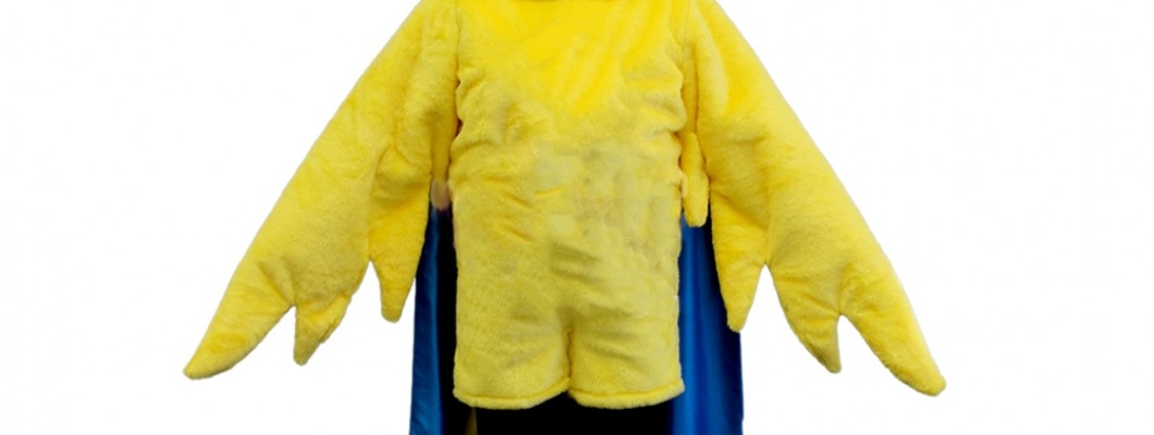 Dragon Mascot Costumes and Special Effects: Enhancing Visual Appeal