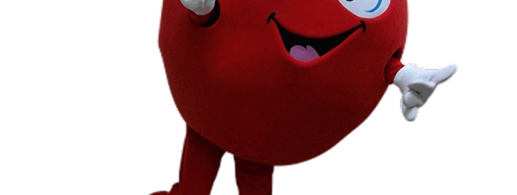Economical Mascot Costumes for Cheerleading Squads