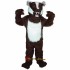 Badger Mascot Costume Cosplay