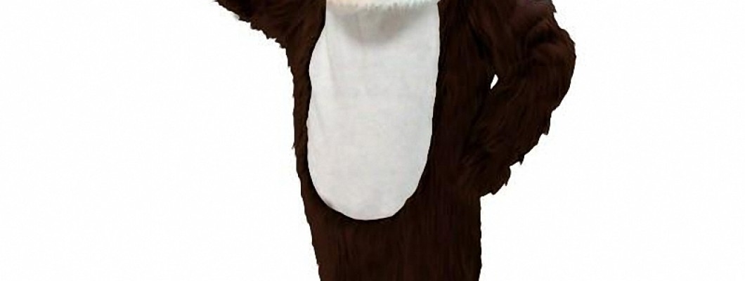 Safety Considerations When Wearing School Mascot Costumes