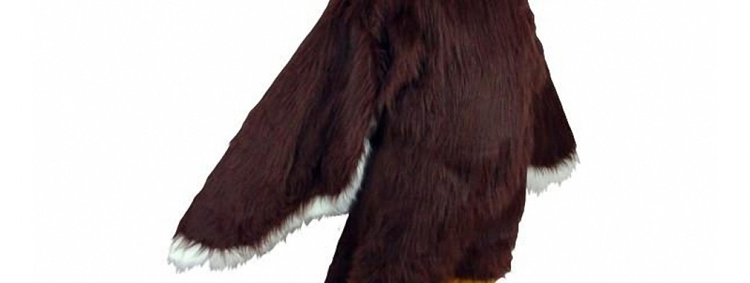 Top 10 Leopard Mascot Costumes for Kids