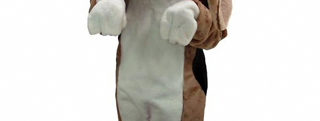 The Most Memorable Monkey Mascot Costumes in Sports History