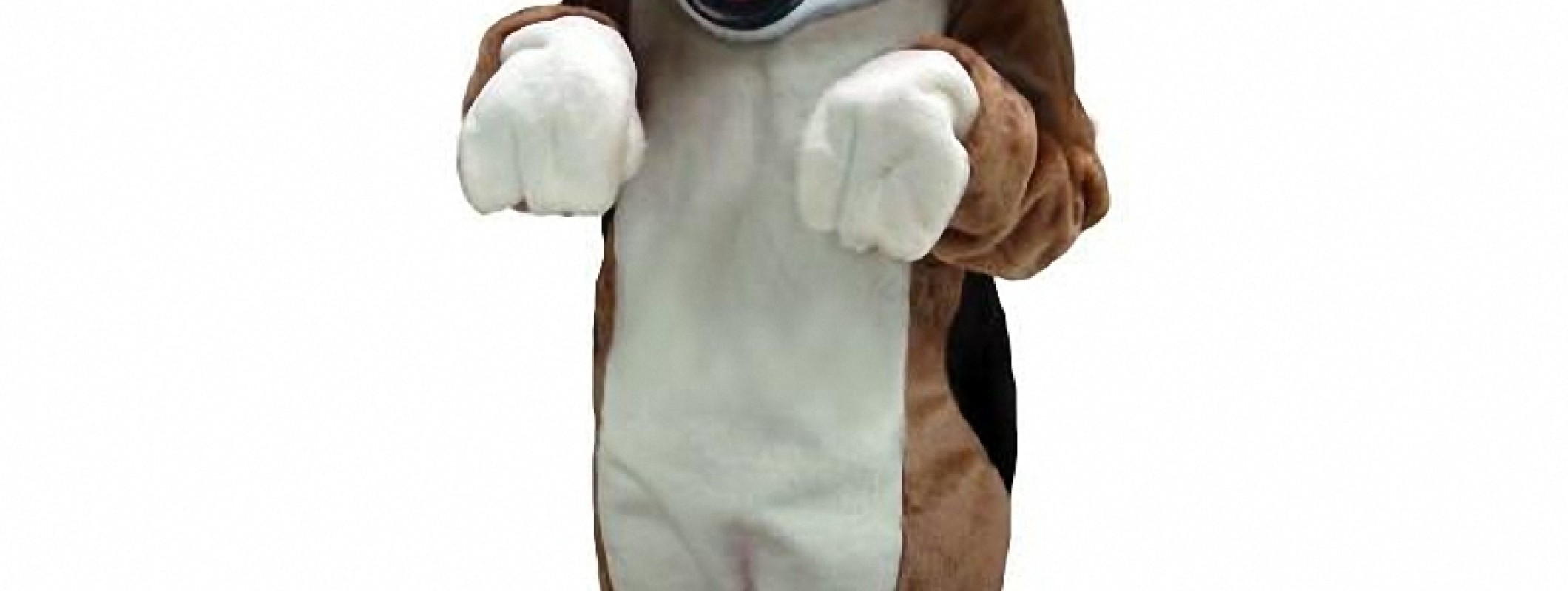 Interview with a Professional Rabbit Mascot Performer