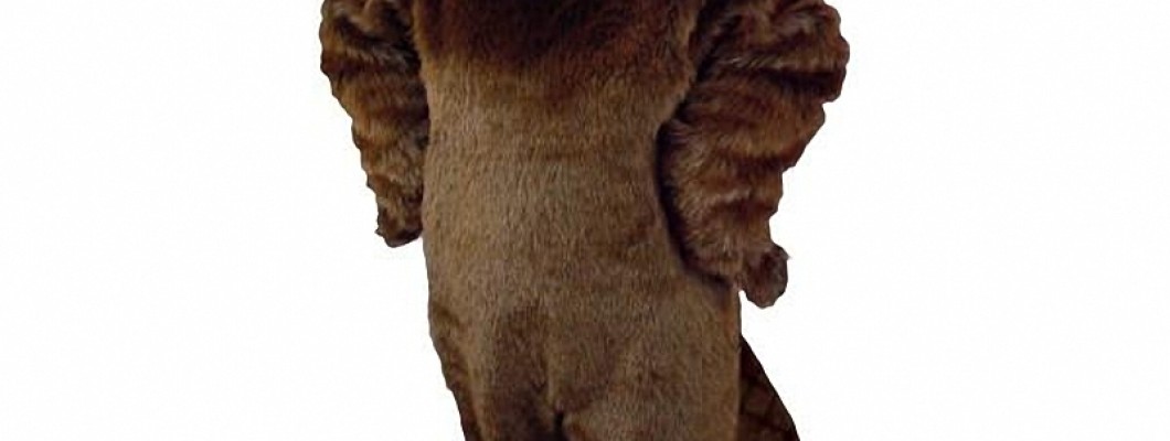 Using People Mascot Costumes for Effective Brand Promotion