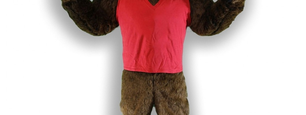 How to Choose the Best Affordable Mascot Costume
