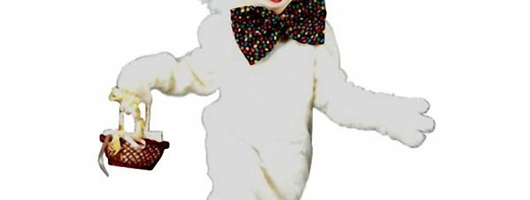 Jaguar Mascot Costumes: The Ultimate Guide to Selection and Care