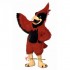 Big Red Cardinal Mascot Costume Cosplay