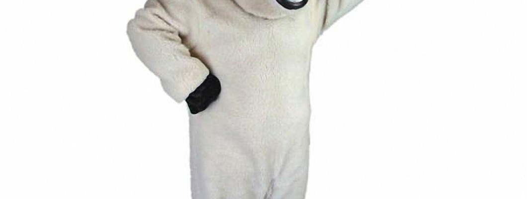 Interview with a Professional People Mascot Costume Designer