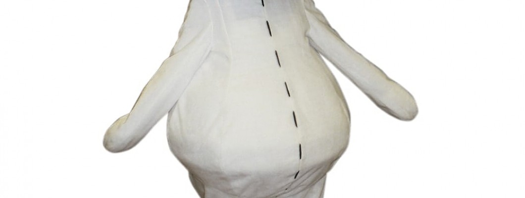 Breaking Barriers: Inclusive Bunny Mascot Costume Designs