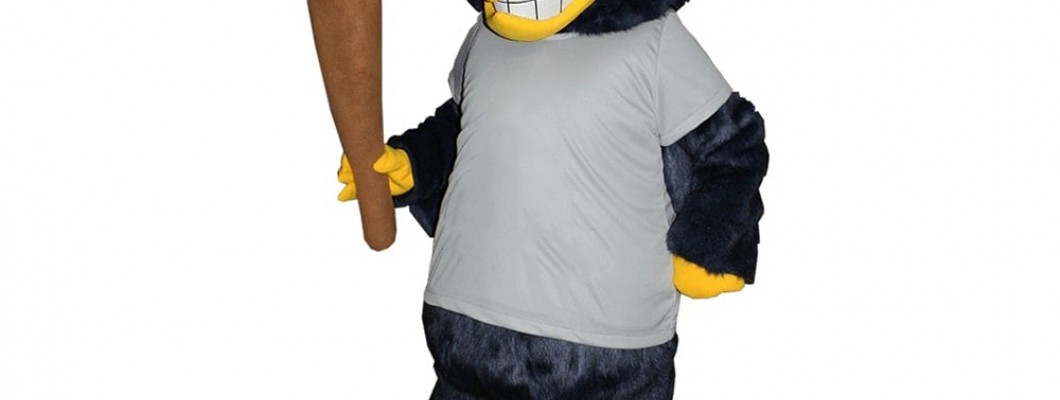 Fan Engagement: Using Pig Mascot Costumes to Boost Team Spirit