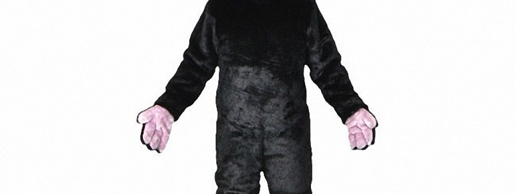 Dog Mascot Costume Contests: How to Enter