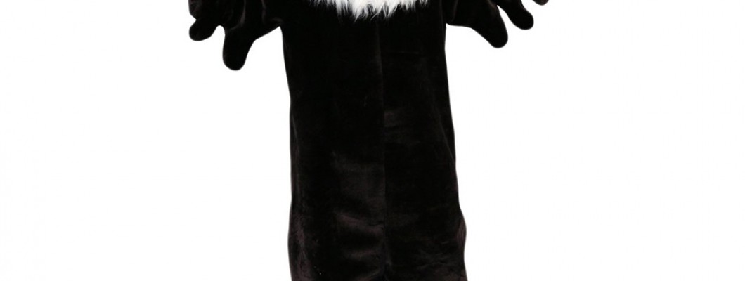 How to Train for Long Hours in a Lion Mascot Costume