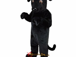 Interview with a Dragon Mascot Costume Designer: Insights and Secrets