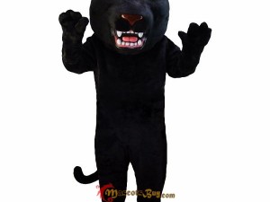 Why Ladybugs and Bees? The Symbolism Behind Popular Insect Mascots