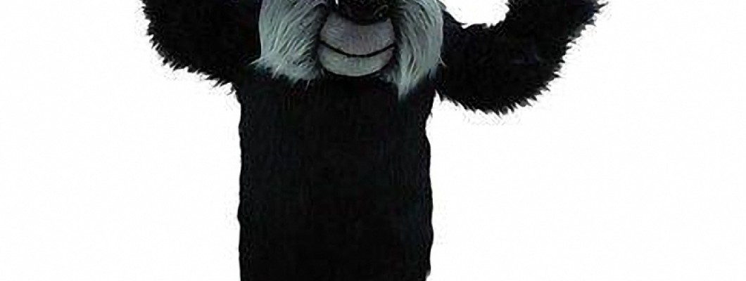 Creative Ways to Use Tiger Mascot Costumes at School Events