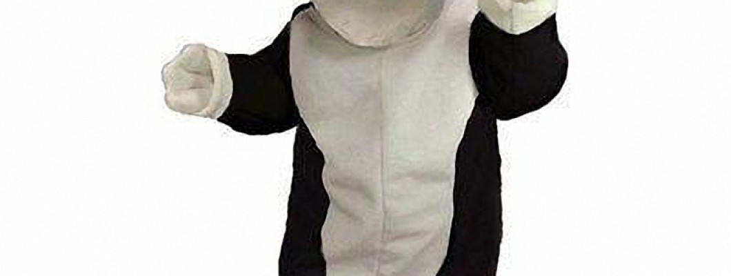 Tips for Maintaining and Cleaning Your Tiger Mascot Costume