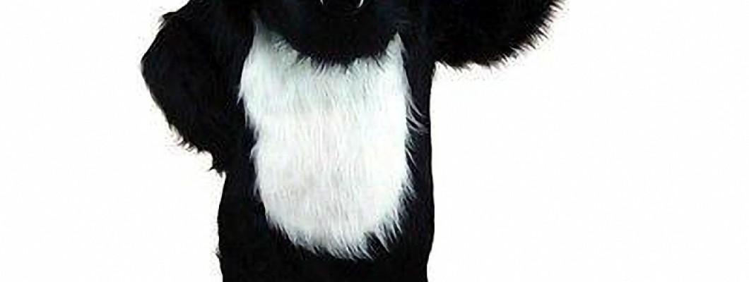 Why a Chicken Mascot Costume is the Perfect Icebreaker at Corporate Events