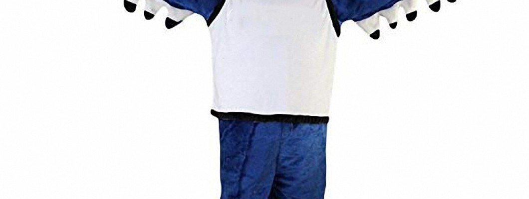 How to Build a Duck Mascot Costume from Scratch