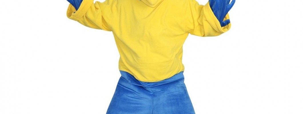 Cheap Mascot Costumes: Ideal for Fundraising Auctions