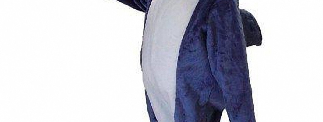 How to Train Your Dog to Wear a Mascot Costume