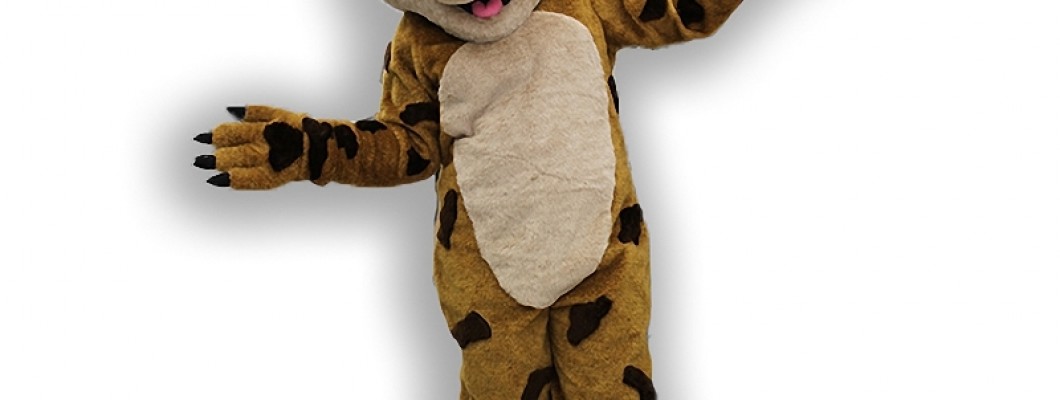 Creating Unforgettable Moments: The Power of Raccoon Mascot Costumes at Community Events