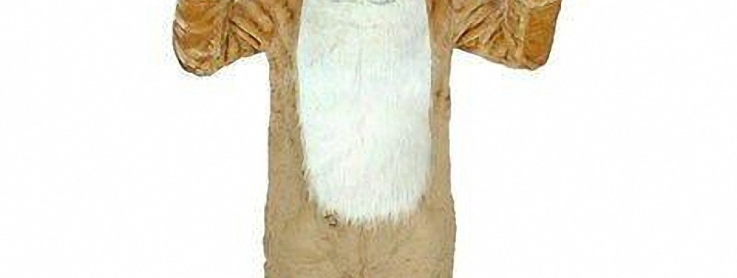 The History of Holiday Mascot Costumes