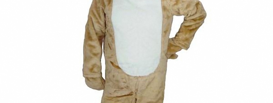 How to Care for Your Wolf Mascot Costume