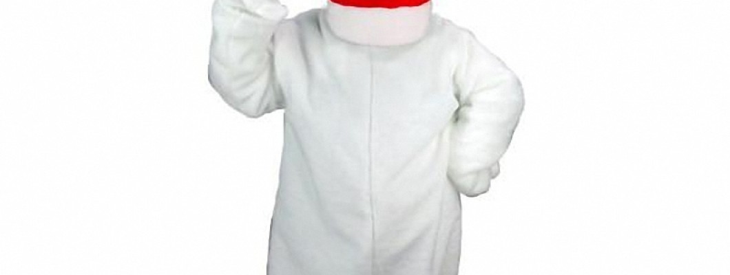 From Feathers to Feet: The Art of Crafting a Chicken Mascot Costume