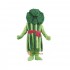 Broccoli Mascot Costume Cosplay
