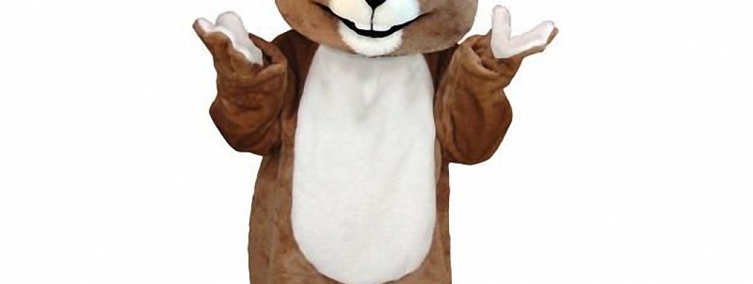 Why Choose a Pig Mascot Costume for Your Next Promo Event