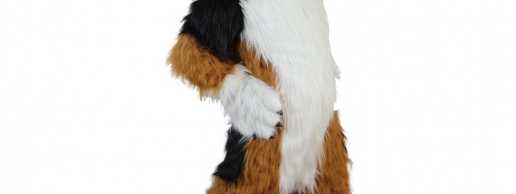 Mind Over Matter: Psychological Benefits of Wearing a Cougar Mascot Costume