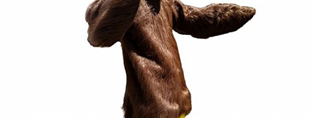 Duck Mascot Costumes: The Ultimate Icebreaker for Networking Events