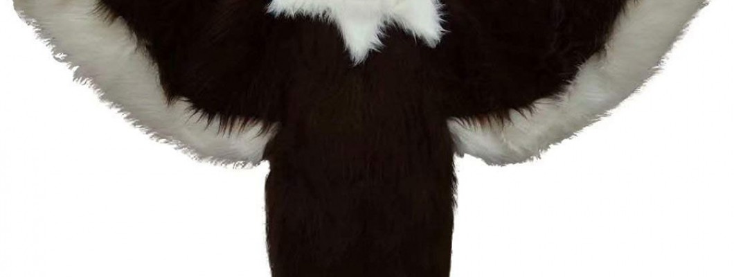 Character Mascot Costumes: Perfect for Family Gatherings