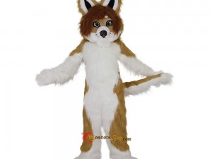 Exploring Gender Neutrality in Fox Mascot Costume Designs