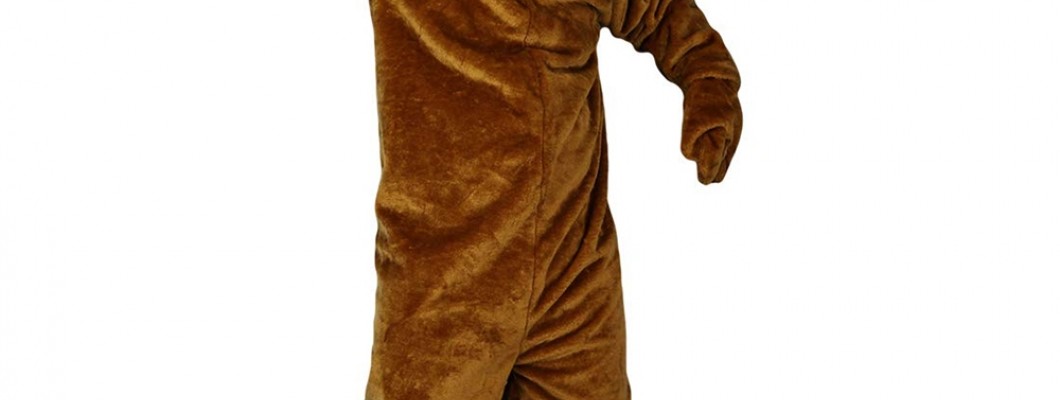 From Concept to Creation: The Journey of a Custom Squirrel Mascot Costume