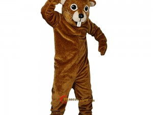 From Concept to Creation: The Journey of a Custom Squirrel Mascot Costume