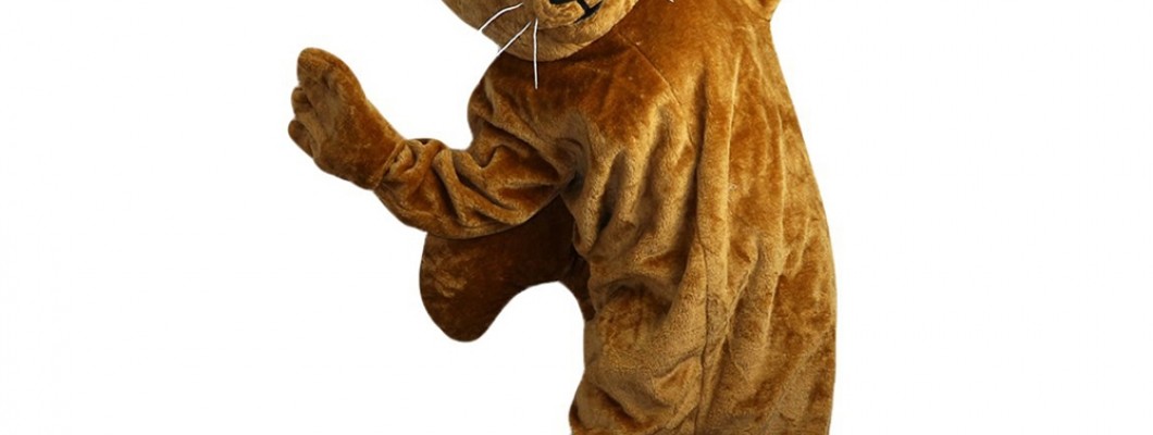 How to Get Kids Involved in the Creative Process of Making Animal Mascot Costumes
