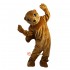 Brown Groundhog Gophers Mascot Costume Cosplay