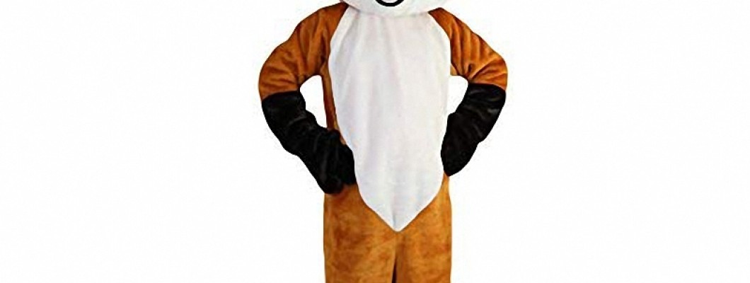 The Business Side of Raccoon Mascot Costumes: Profit Margins and Market Trends