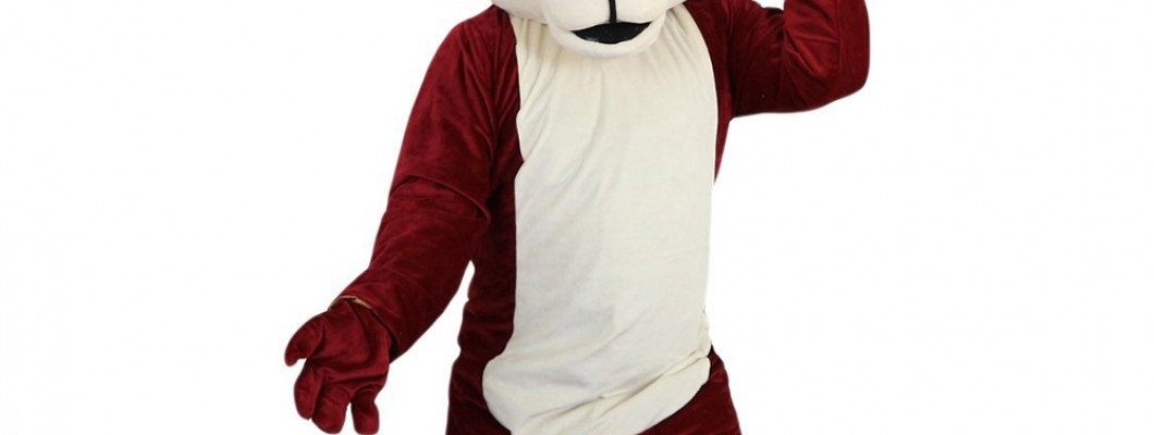How to Use Social Media to Showcase Your School Mascot Costume