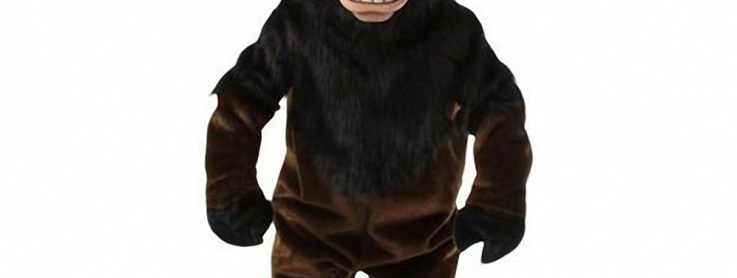 Innovative Bird Mascot Costume Ideas for Schools