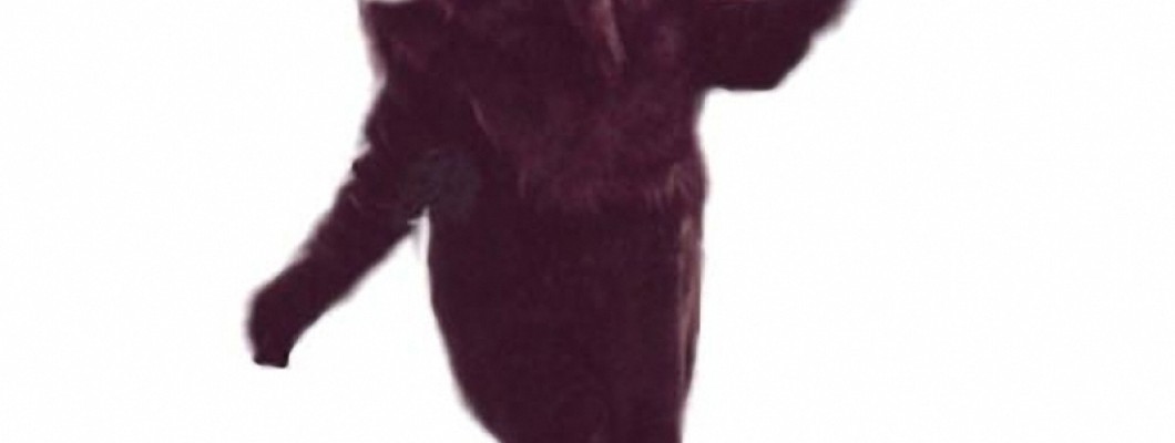 How to Care for and Clean Your Cat Mascot Costume