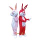 Bugs bunny Rabbit Mascot Costume Cosplay