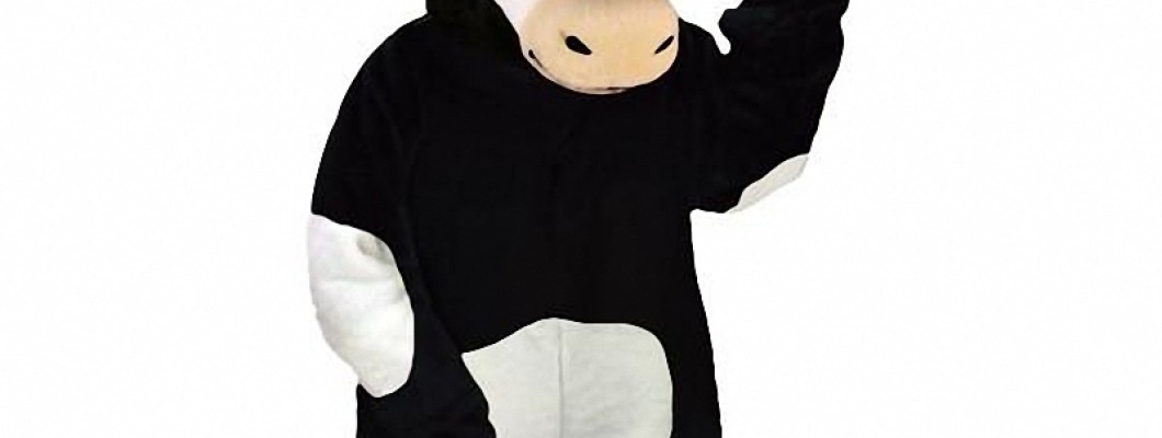 Character Mascot Costumes: From Concept to Reality