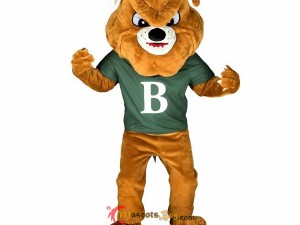 The Intricacies of Painting and Detailing Professional Bear Mascot Costumes