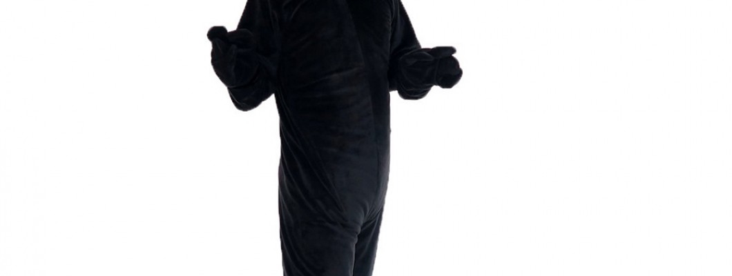 Creating Unforgettable Moments: Using Fox Mascot Costumes in Promotions