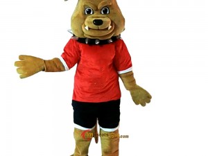 Behind the Scenes: The Story of a Famous Mascot Costume